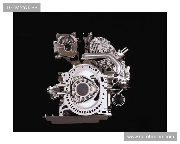 欧博最新官网平台网址最新更新版本，提供最全的访问路径和安全保障措施